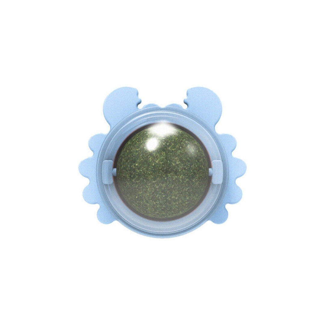 Menta para gato