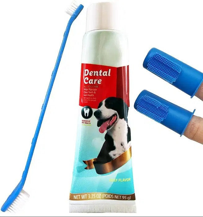 Crema Dental Con Sabor A Carne + 3 Kit C