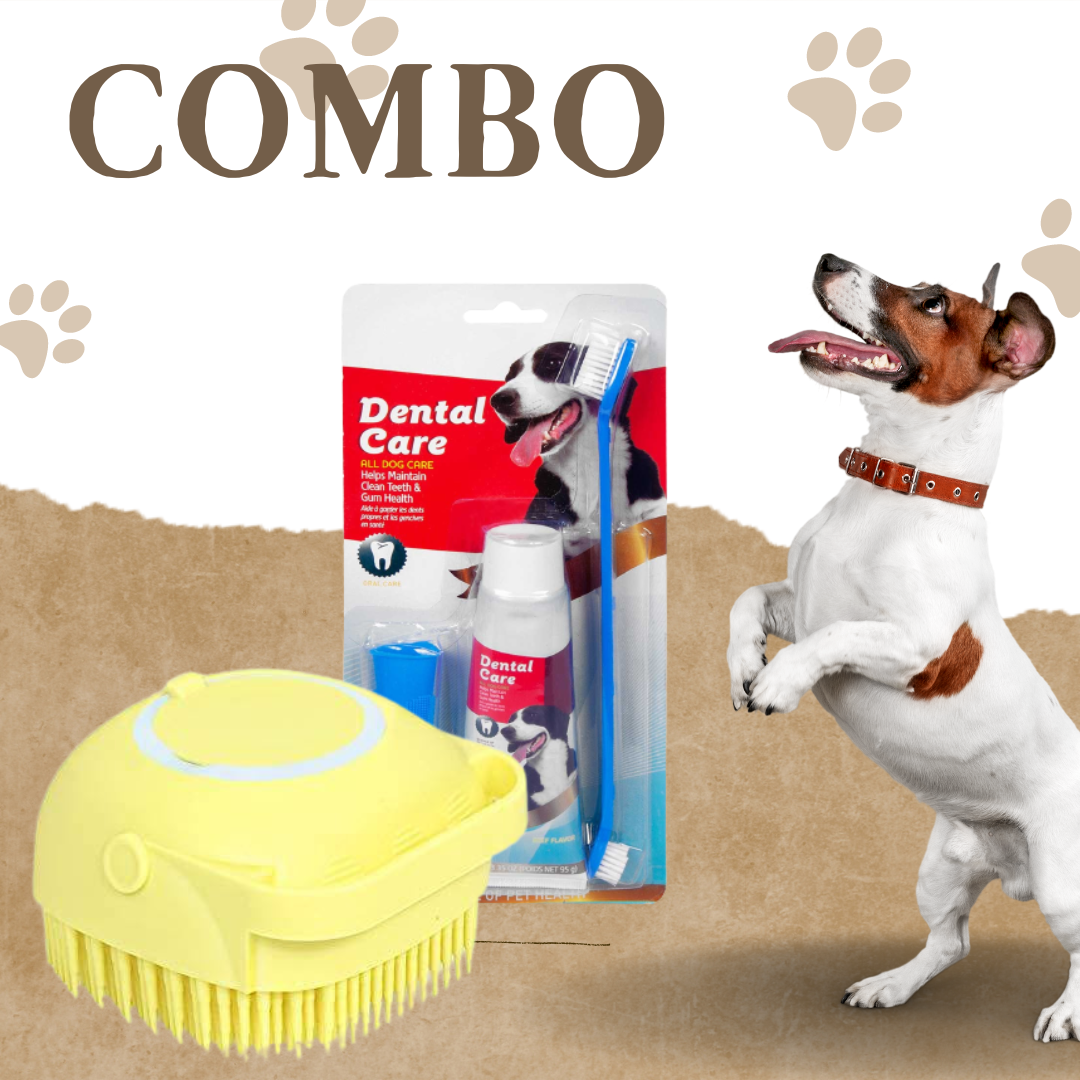 COMBO CEPILLO MASAJEADOR+ CEPILLO MASCOT