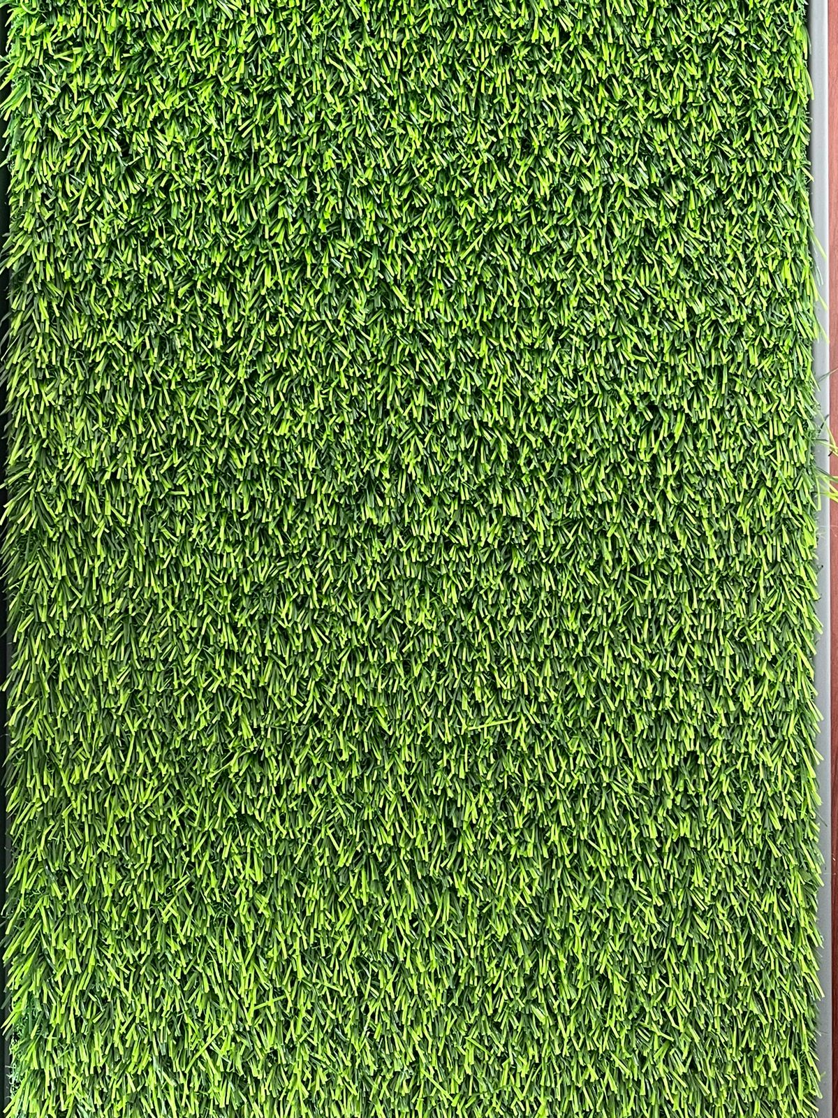 Tapete Pasto Entrenamiento de Mascotas