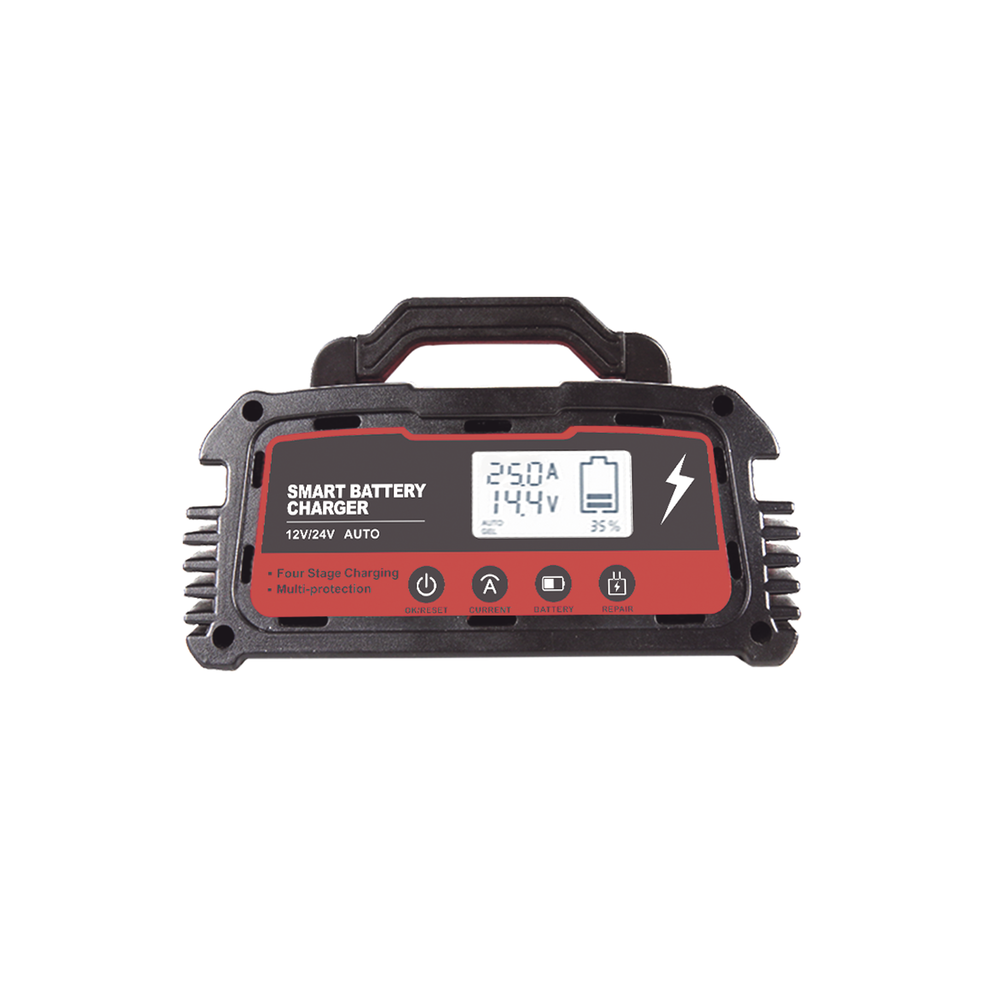 CARGADOR DE BATERIAS 12/24V 25 A