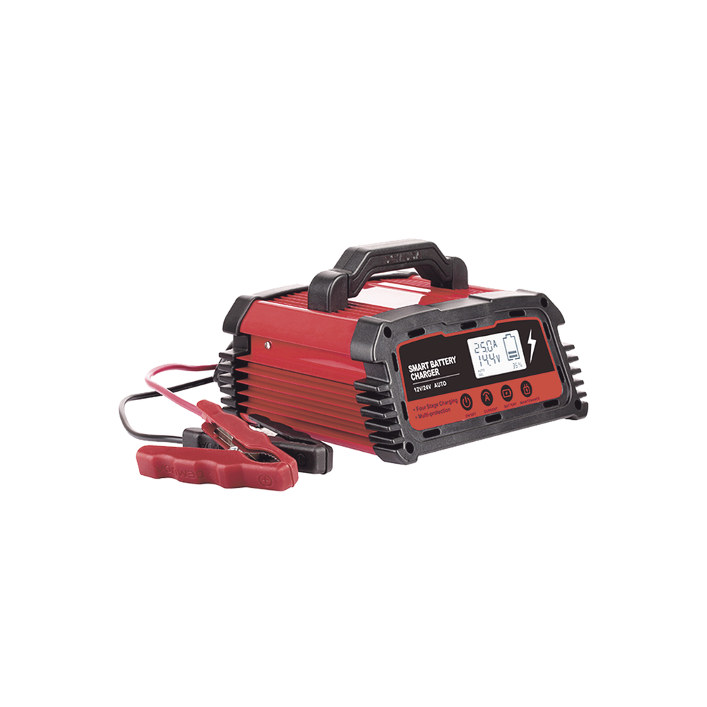 CARGADOR DE BATERIAS 12/24V 25 A