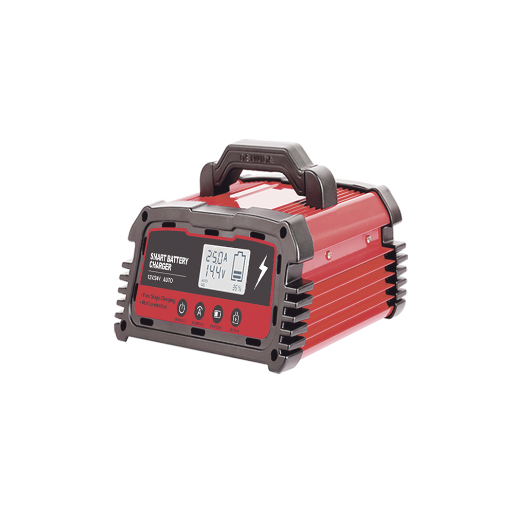 CARGADOR DE BATERIAS 12/24V 25 A