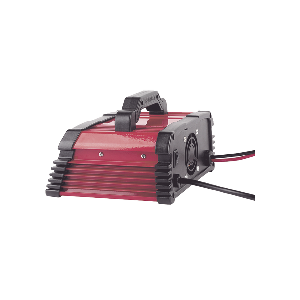 CARGADOR DE BATERIAS 12/24V 25 A