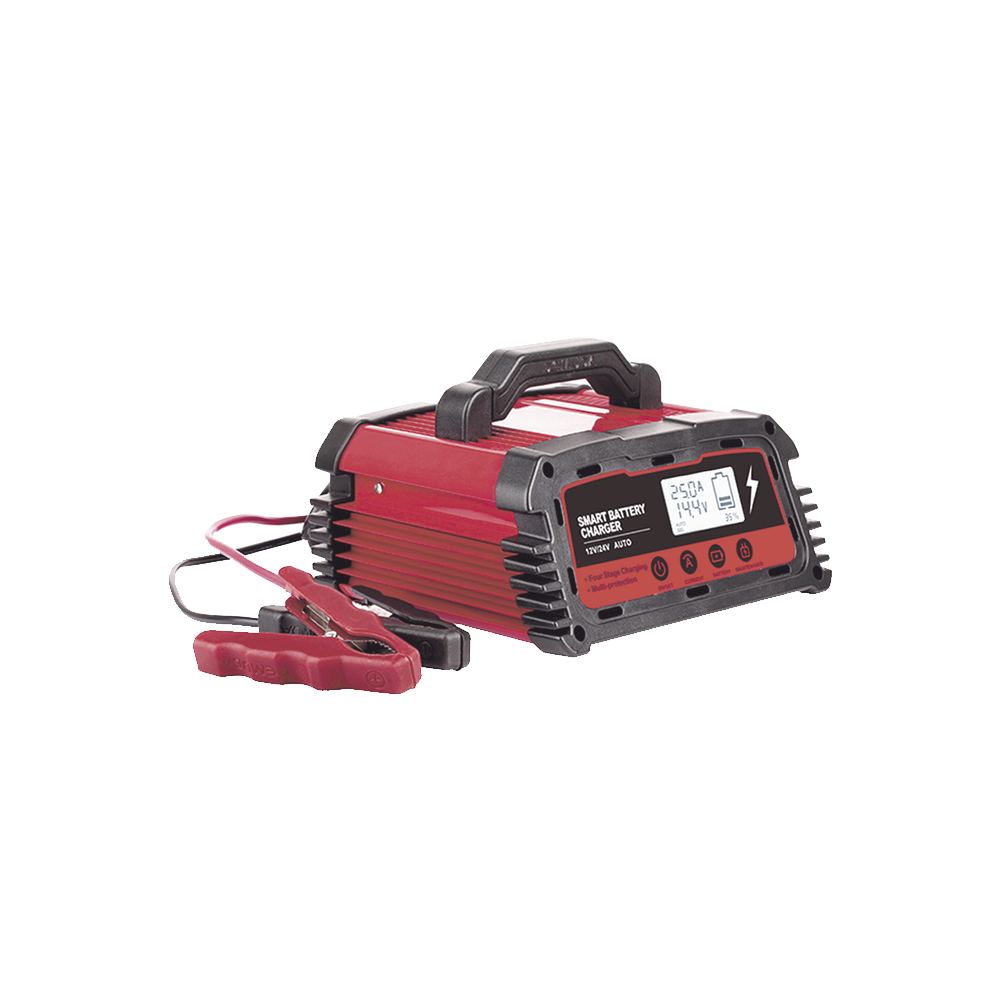 CARGADOR DE BATERIAS 12/24V 25 A