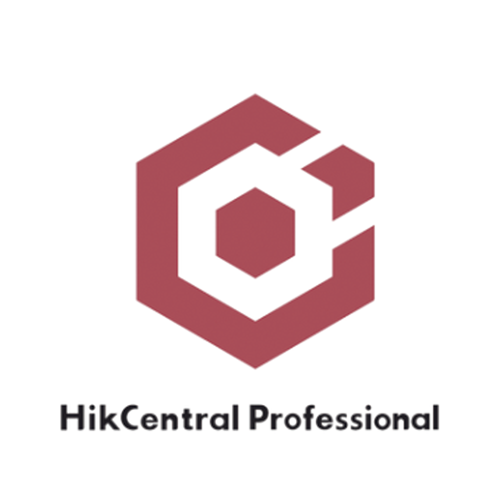 HikCentral Professional / Licencia Añade 1 Canal Adicional de Video (HikCentral-P-VSS-1Ch)