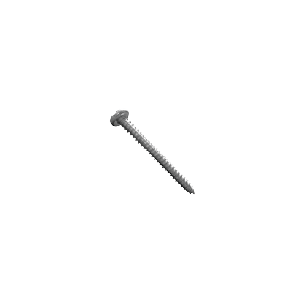 Tornillo 8 mm x 1" para taquete TP1X (1000pzs) (1392-00202)