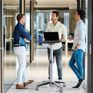 Escritorio ajustable Ergotron 24-547-003 LearnFit 16, MDF gris/plata
