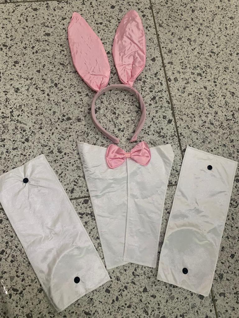 Disfraz conejita Playboy Halloween