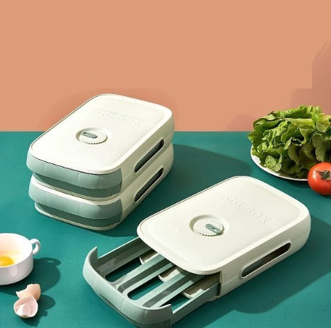 CAJA PARA GUARDAR HUEVOS
