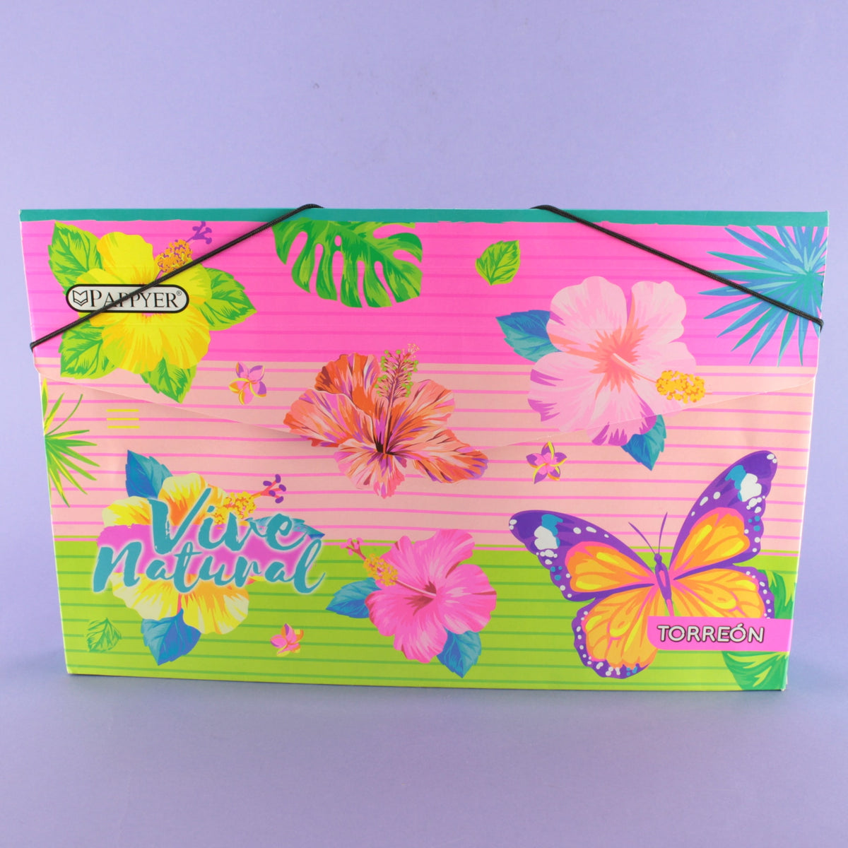 Carpeta escolar con fuelle
