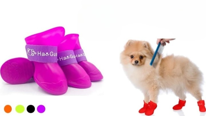 Zapatos para mascota talla M