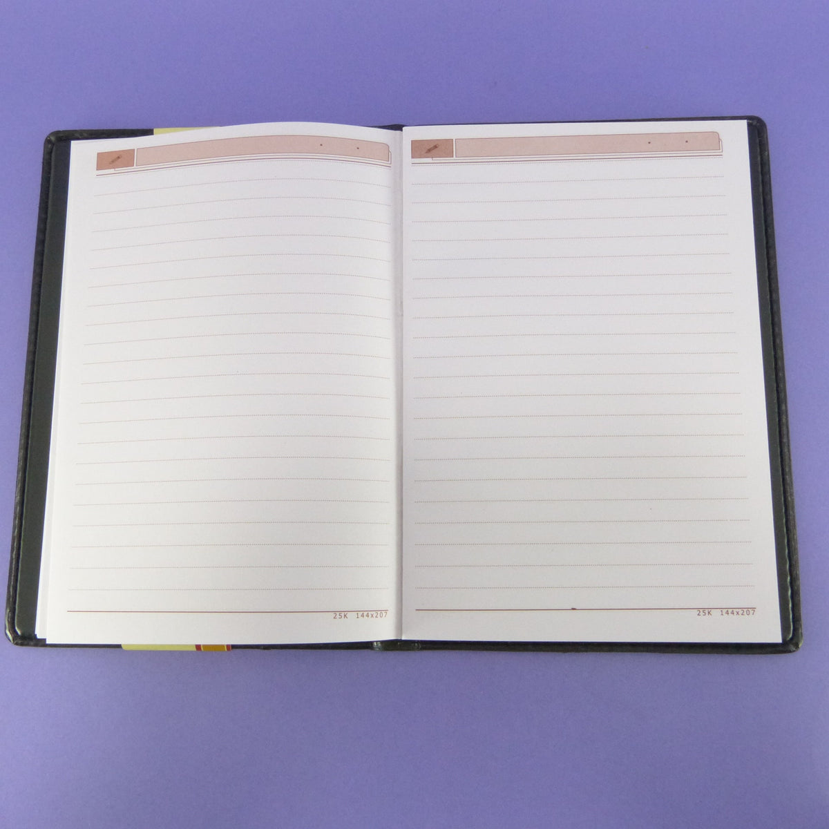 Agenda 25k