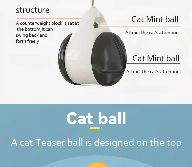 Car cat toy