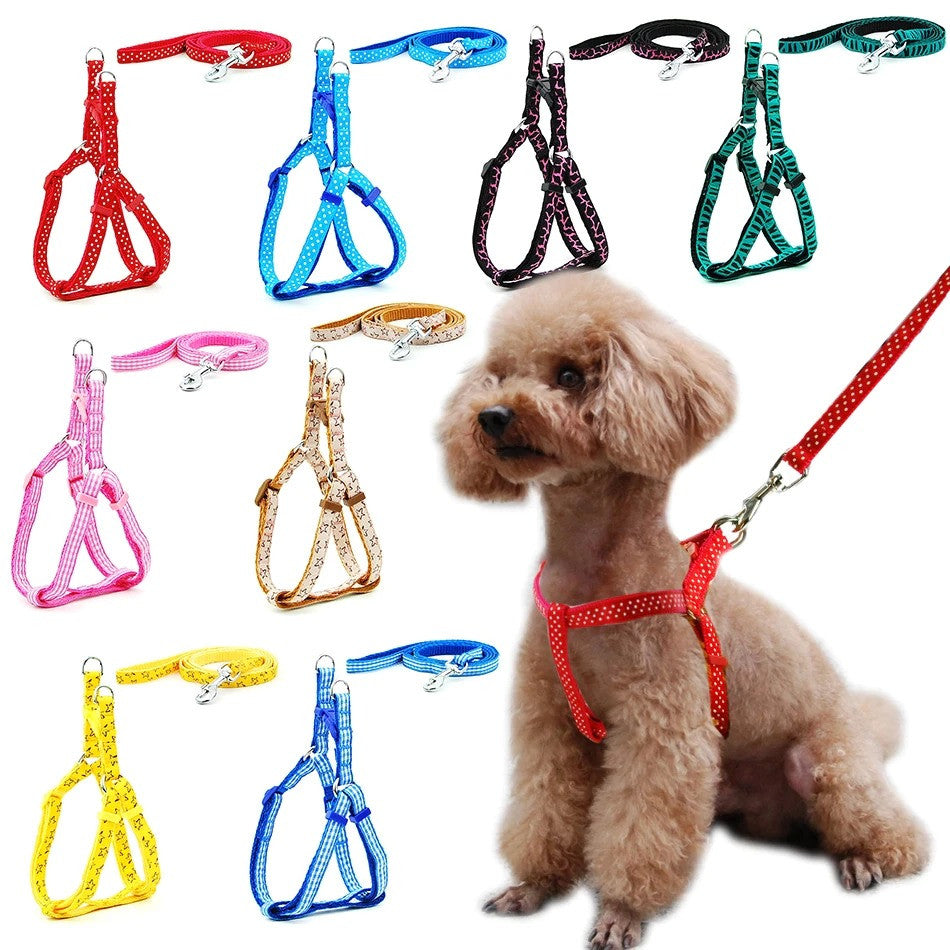 Collar con correa para perros pequeños c