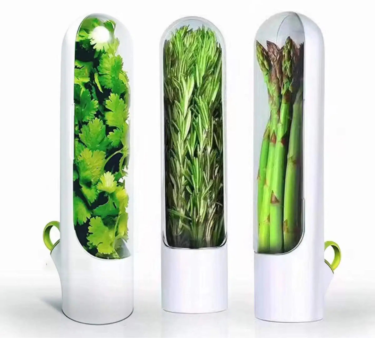 Caja para mantener verduras frescas
