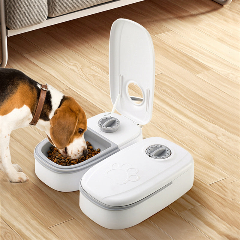 DISPENSADOR DE COMIDA INTELIGENTE PARA M
