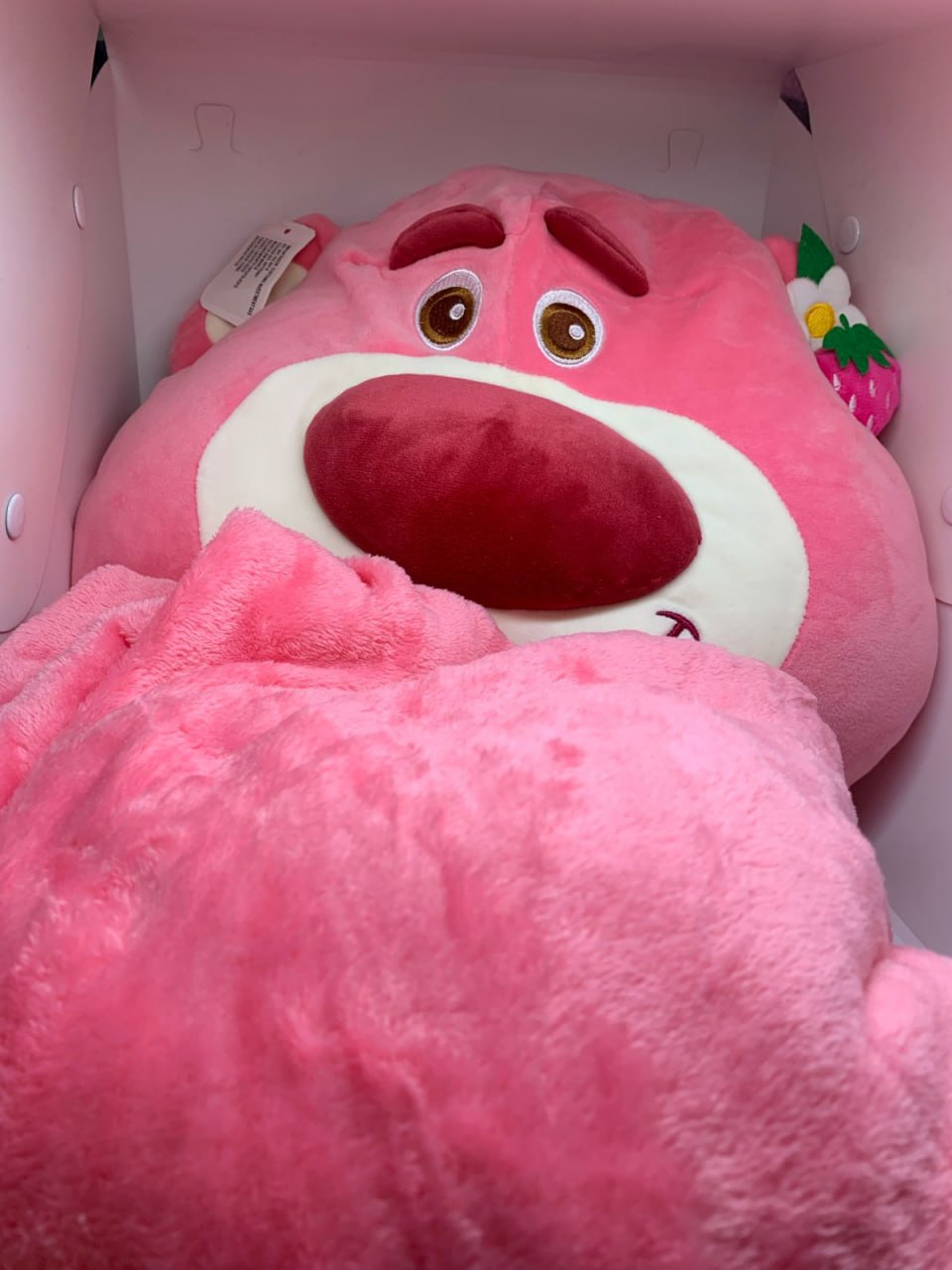 Combo de aventura al aire libre