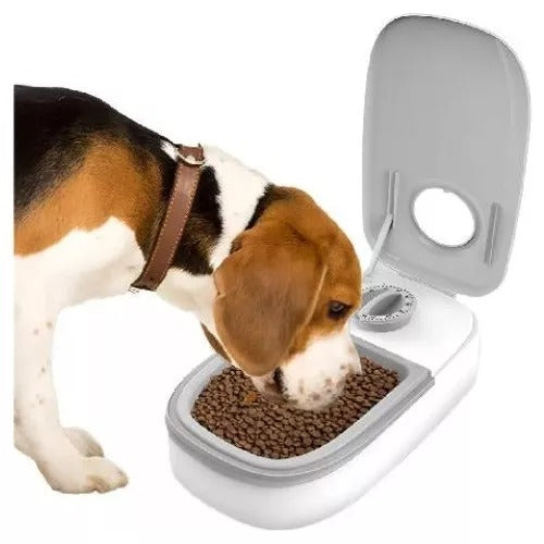 DISPENSADOR DE COMIDA INTELIGENTE PARA M