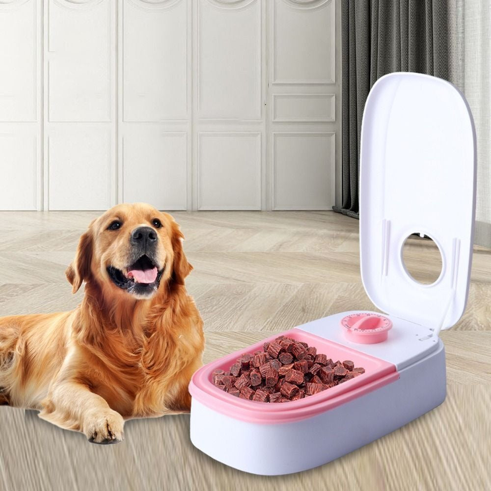 DISPENSADOR DE COMIDA INTELIGENTE PARA M