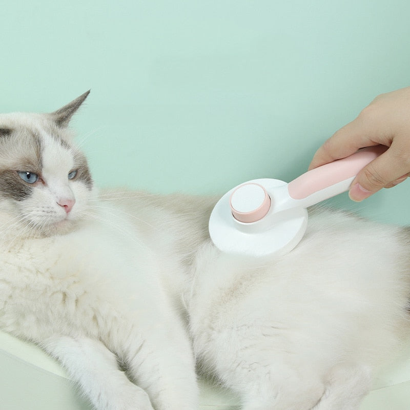 Cepillo para mascota