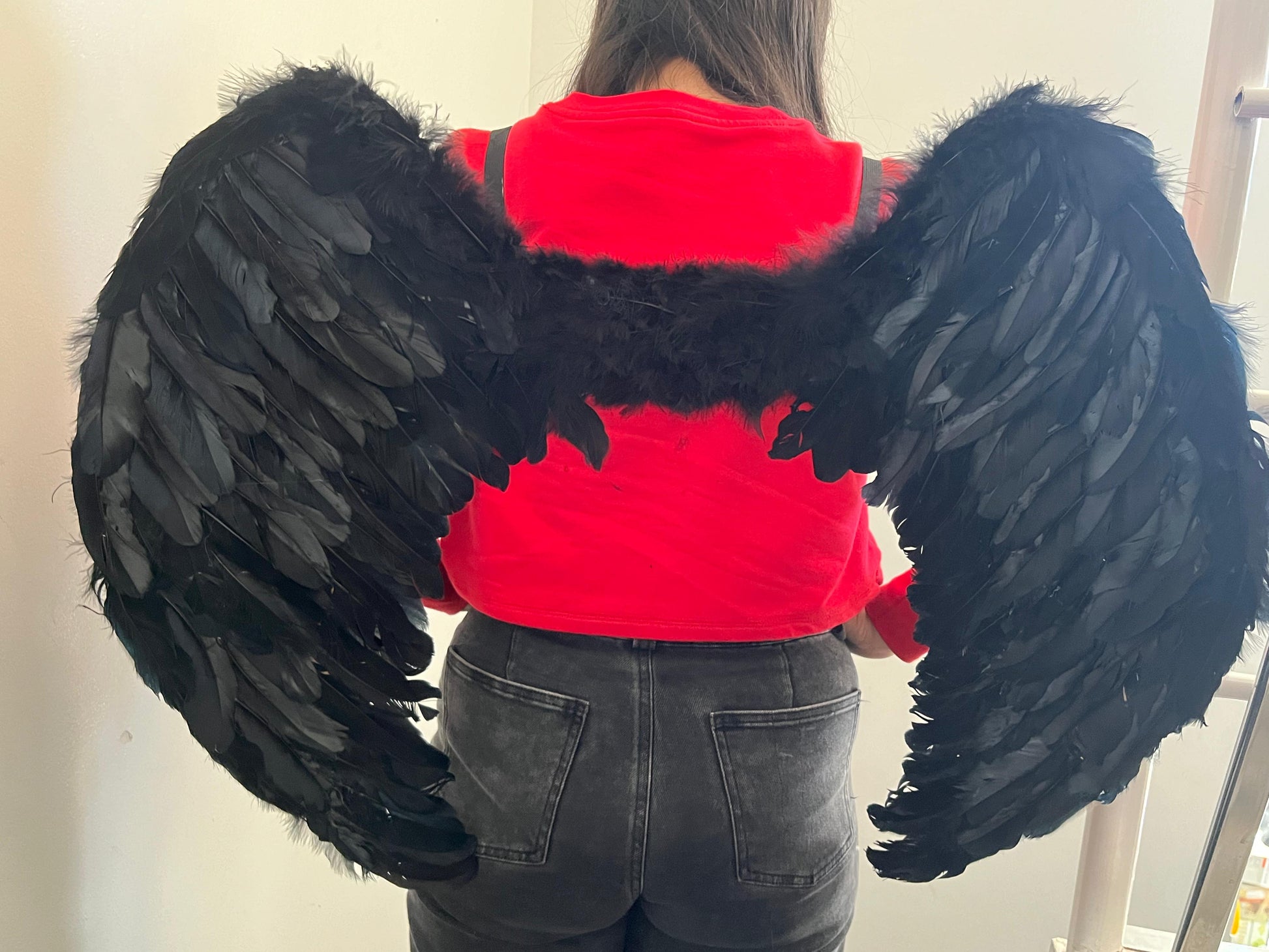 Alas de Ángel Negras