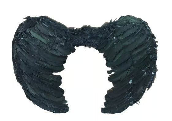 Alas de Ángel Negras
