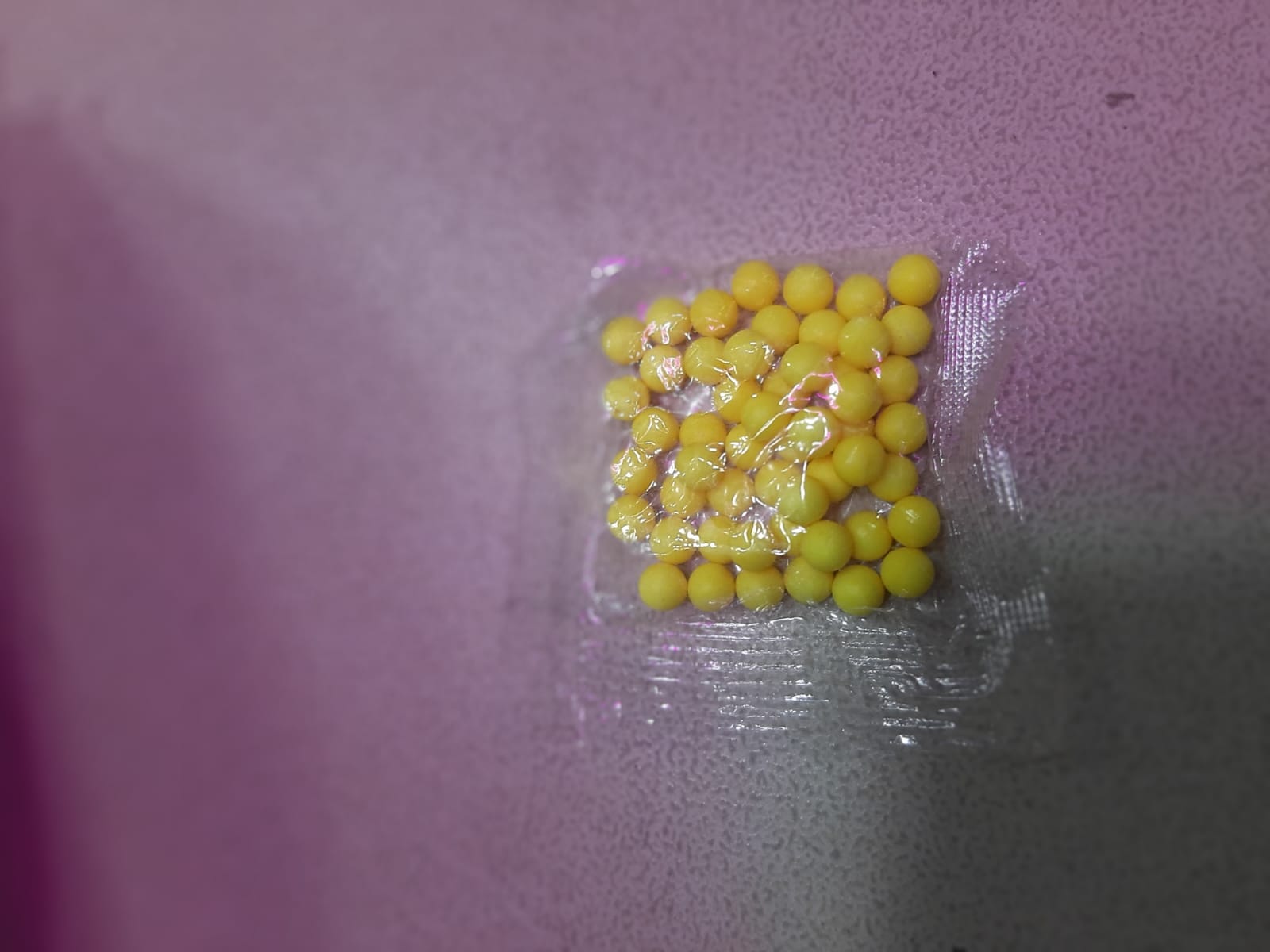 X3 Balines Plasticos 6mm
