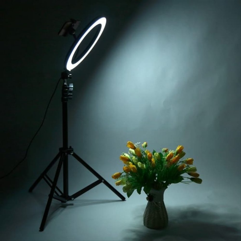 ARO DE LUZ D