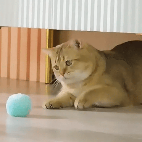 Pelota inteligente
