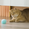 Pelota inteligente