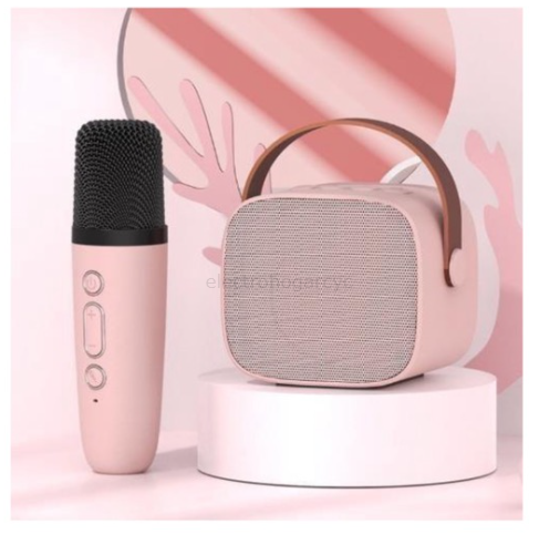 Radio Parlante Usb