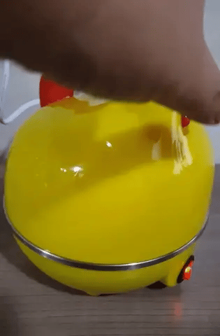 Gallina Hervidora De Huevos