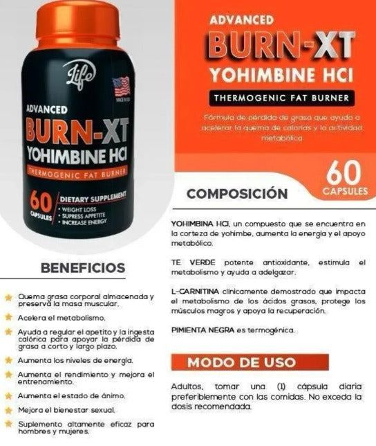 Bur-xt x60 unidades