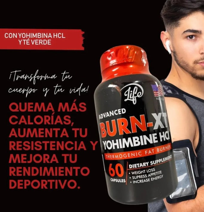Bur-xt x60 unidades