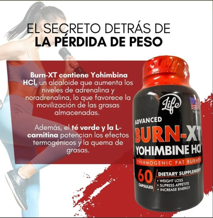 Bur-xt x60 unidades