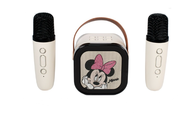 Parlante Karaoke Bluetooth