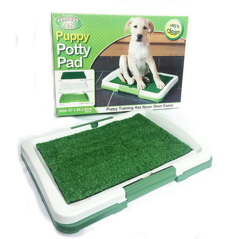 Tapete De Entrenamiento Para Perro