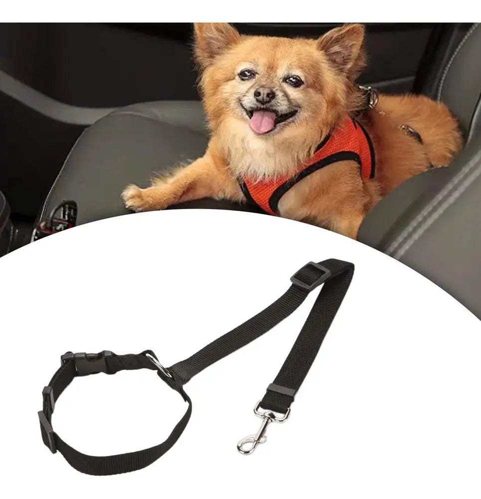 Correa De Seguridad Auto Perro