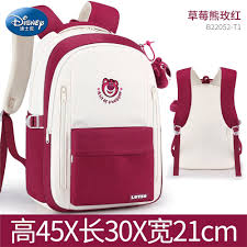 Morral oso lotso disney