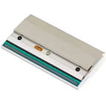 Cabezal de impresión Tsc MB240T PH-MB240-0001 203 dpi