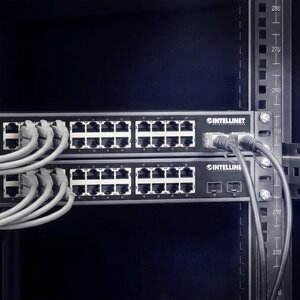 Cable DAC SFP+ Intellinet 508407 10G, 1 m, compatible HPE