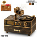 Humidificador 160 ML Radio Gramofono
