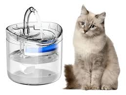 Fuente de agua para gatos transparente