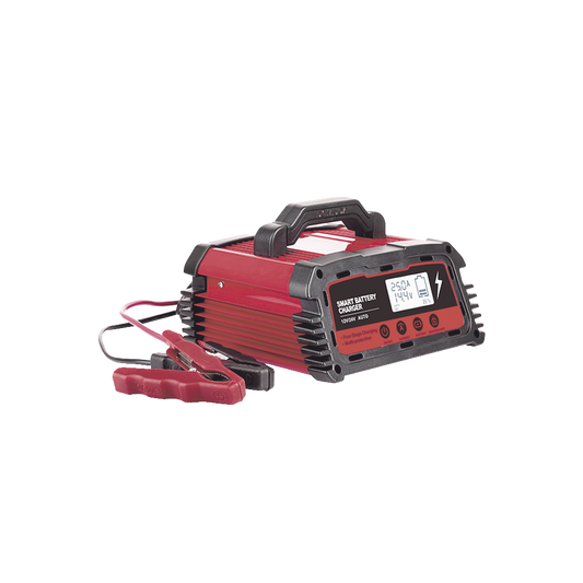 CARGADOR DE BATERIAS 12/24V 25 A