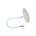 Antena plana blanca DAS para techo, 698-2700 MHz, bajo PIM, N Hembra.