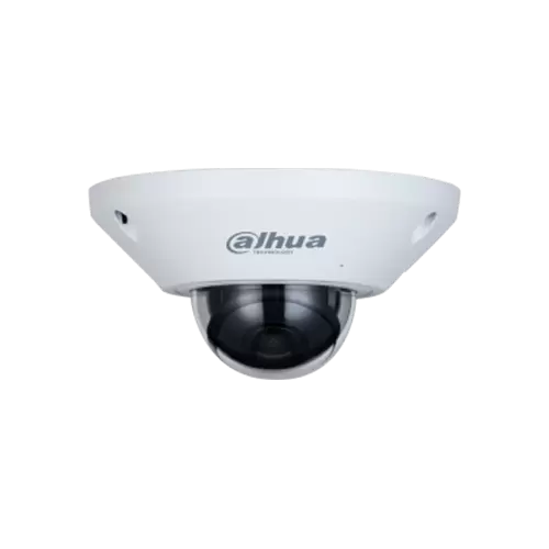 DH-IPC-EB5541N-AS