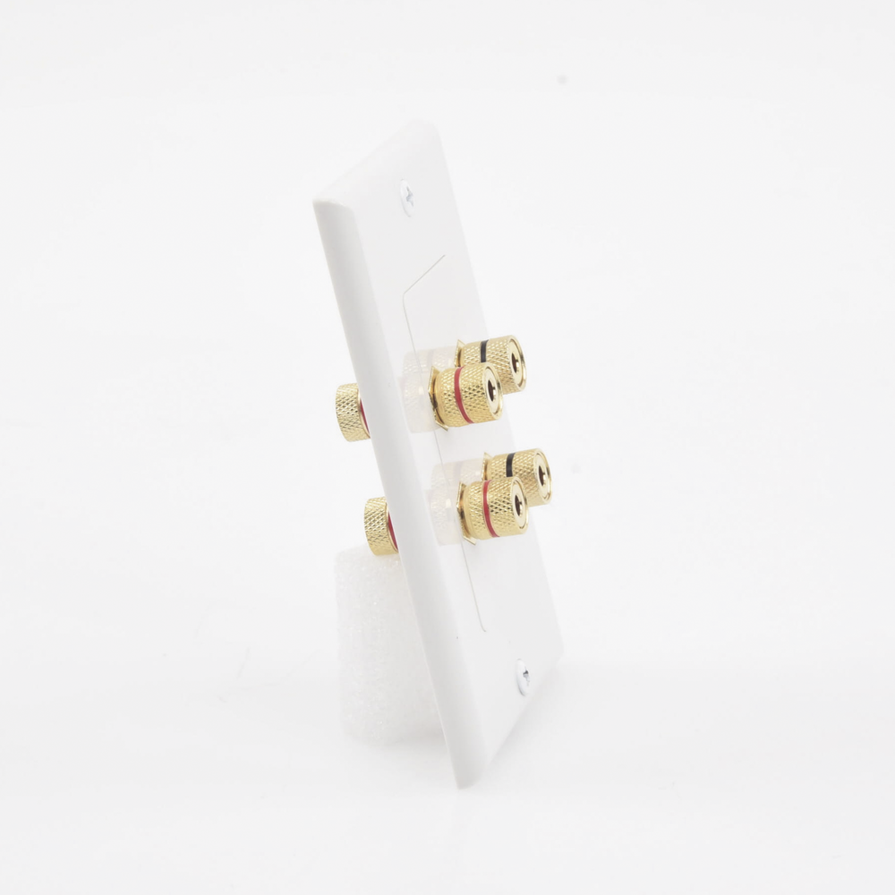 Wall Plate | Banana Binding Posts | 2 Speaker Connections | Easy Installation | Gold-Plated Connectors