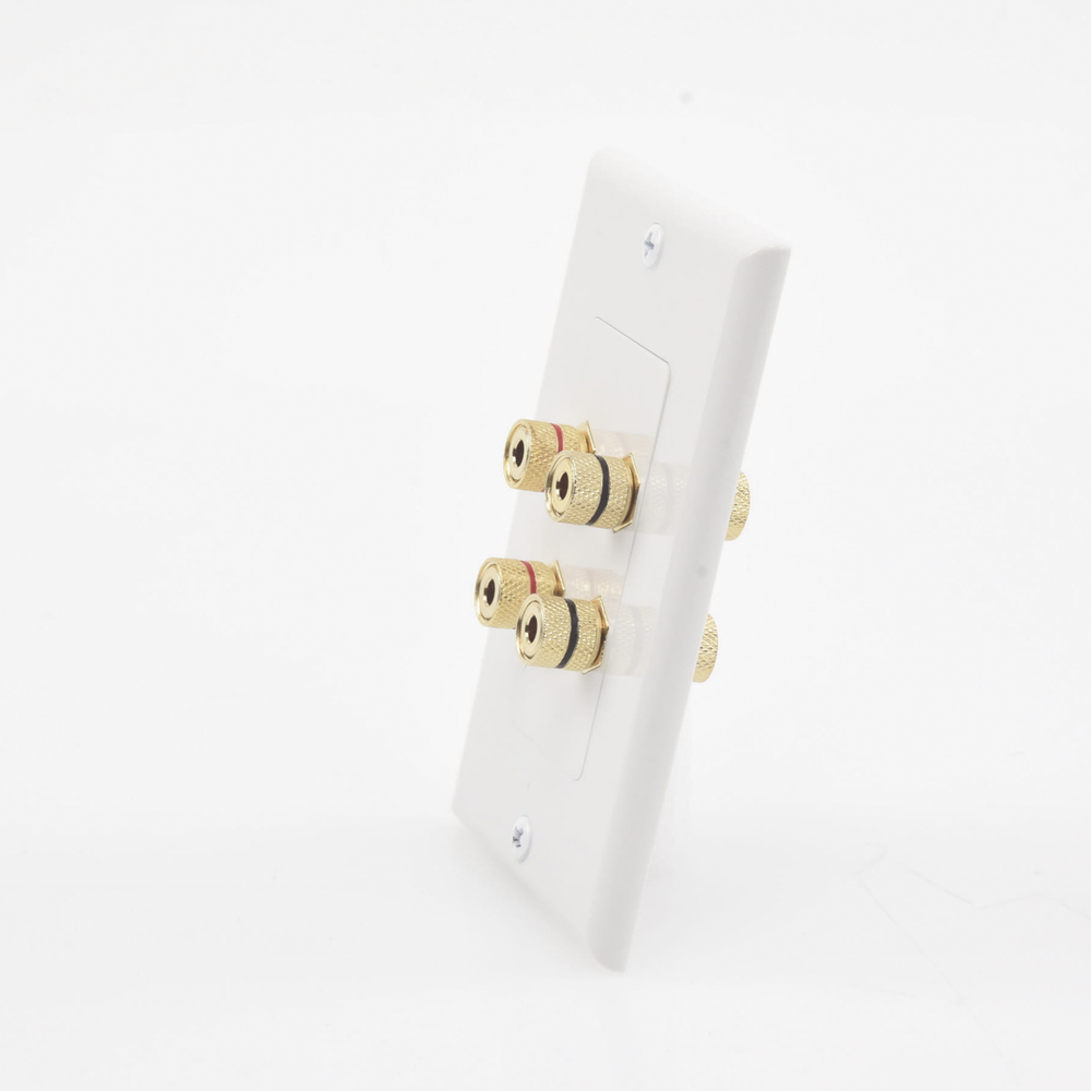 Wall Plate | Banana Binding Posts | 2 Speaker Connections | Easy Installation | Gold-Plated Connectors