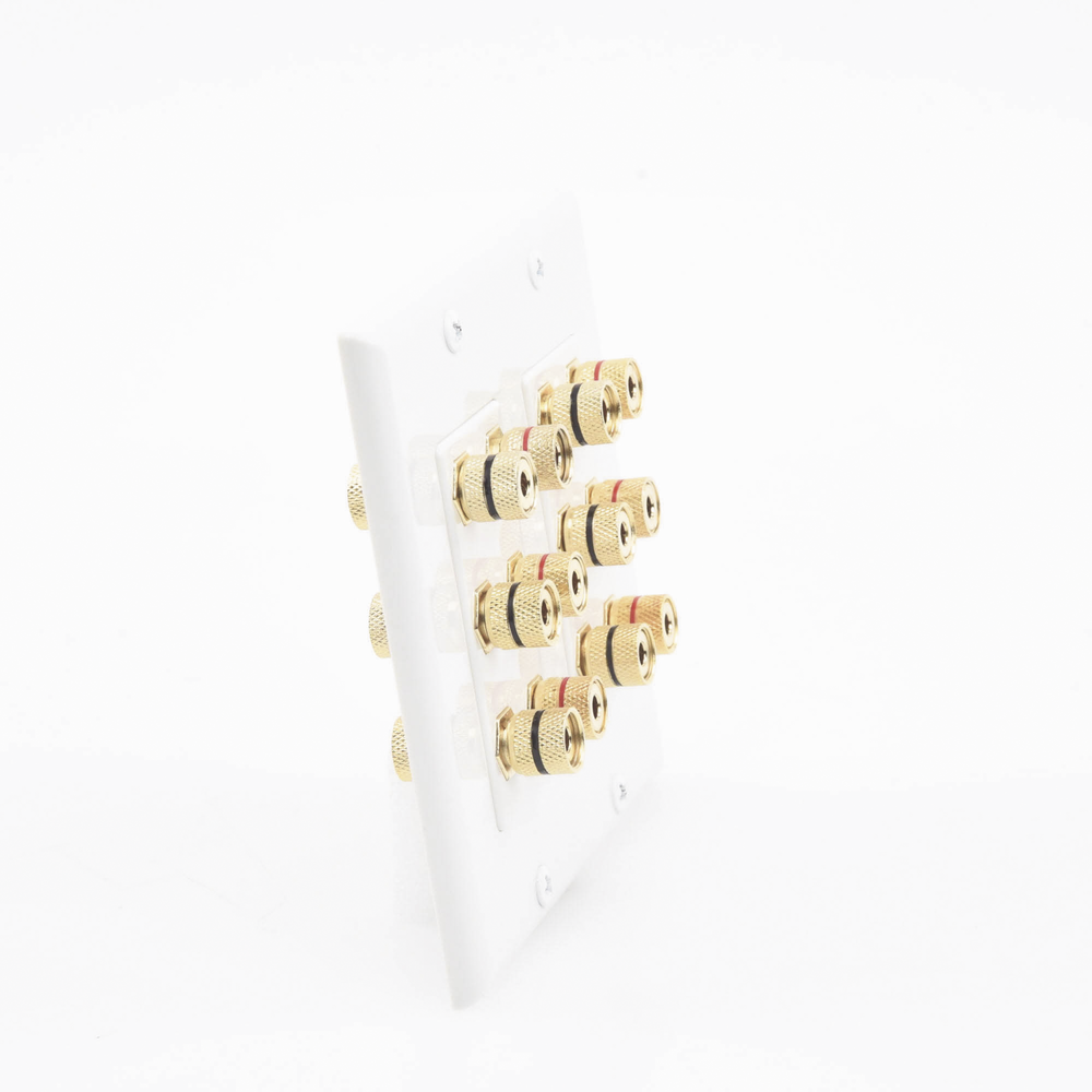 Wall Plate | Banana Binding Posts | 6 Speaker Connections | Easy Installation | Gold-Plated Connectors